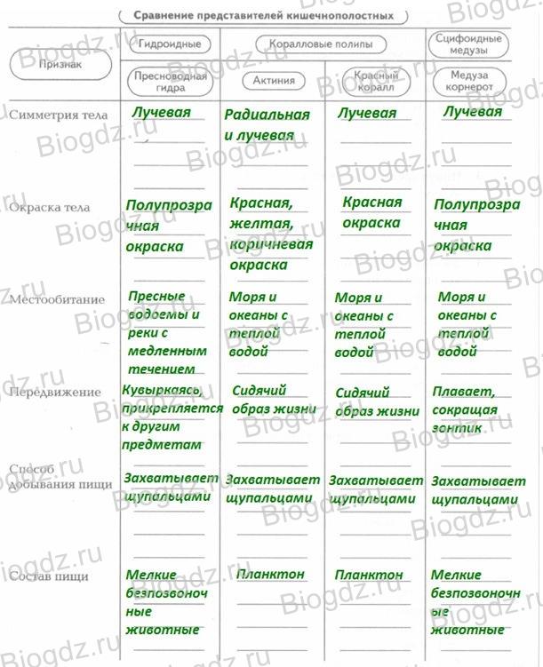 Как восстановить кракен